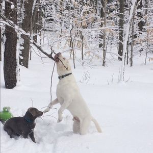 Meet your Posher, Jacob